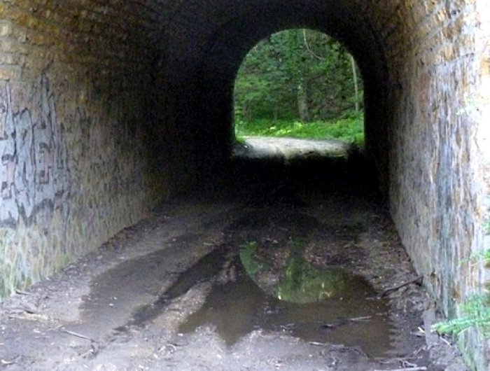 Tunnel Orniere Centrale laissee par grume